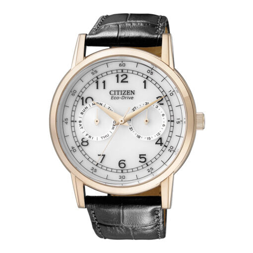 AO9003-16A ECO-DRIVE MULTI FUNCTION DAY & DATE MEN'S WATCH.