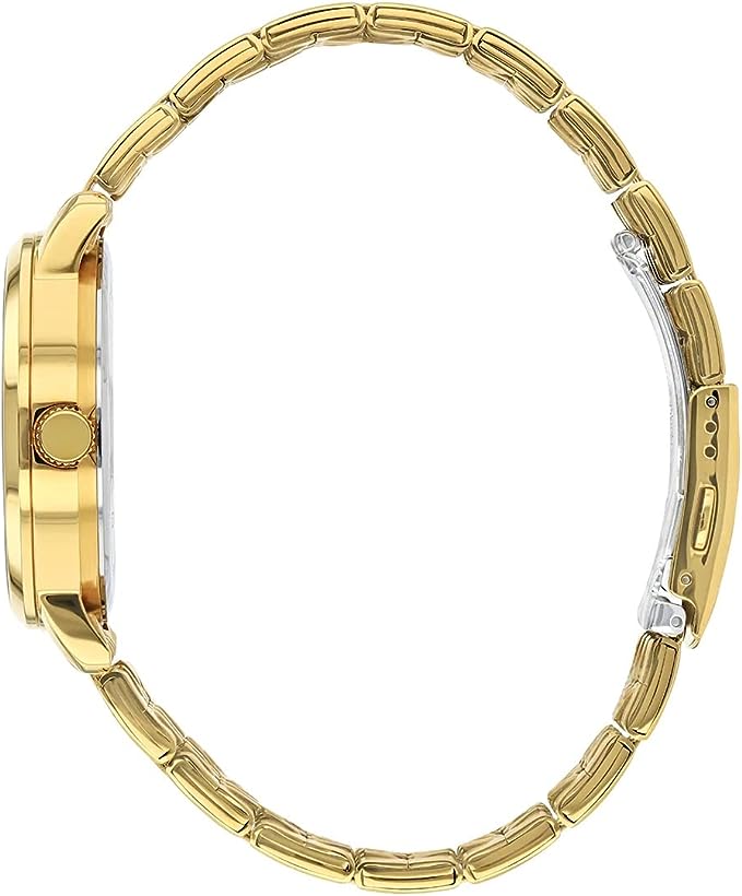 DZ0042-55E Citizen Golden Chain in Black Dial Men’s Watch. - Timecheck