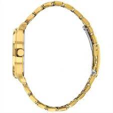 DZ0062-58L Stainless Steel with Yellow Gold Quartz Men's Watch. - Timecheck