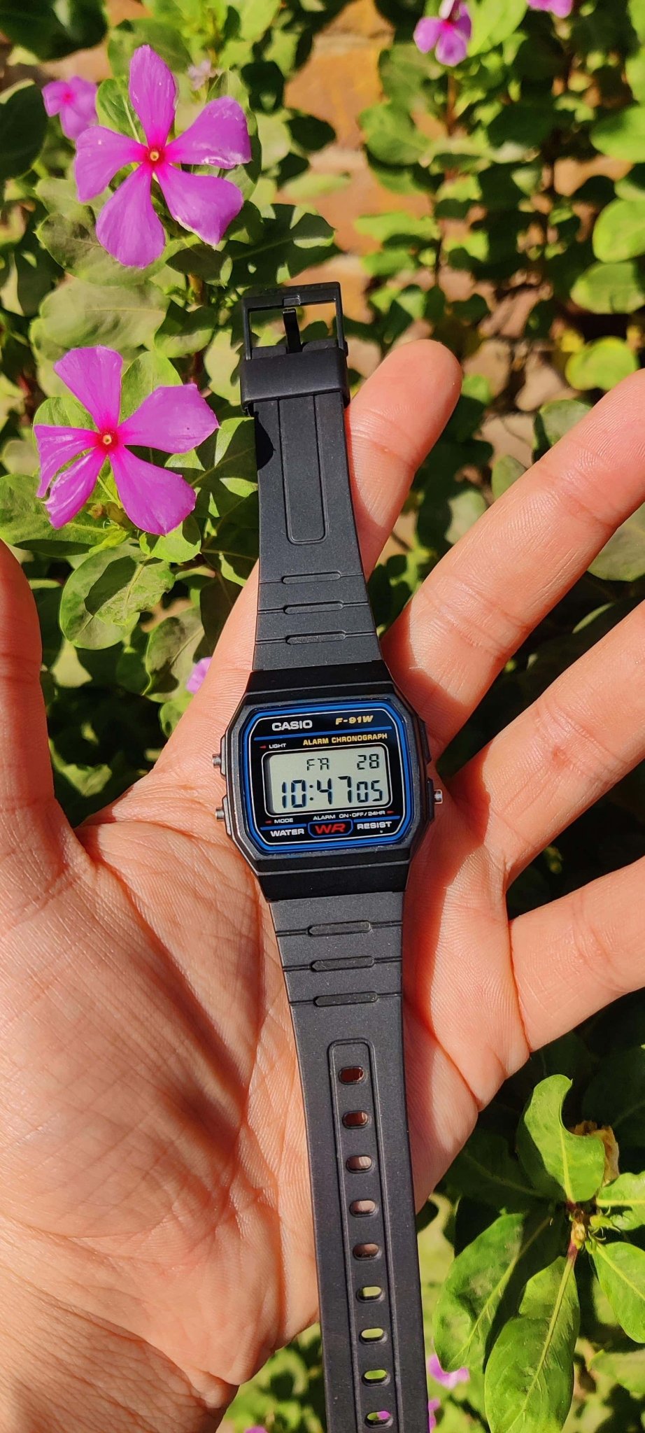F-91W-1DG Casio Resin Case & Band BLACK Case Digital Quartz men's Watch. - Timecheck